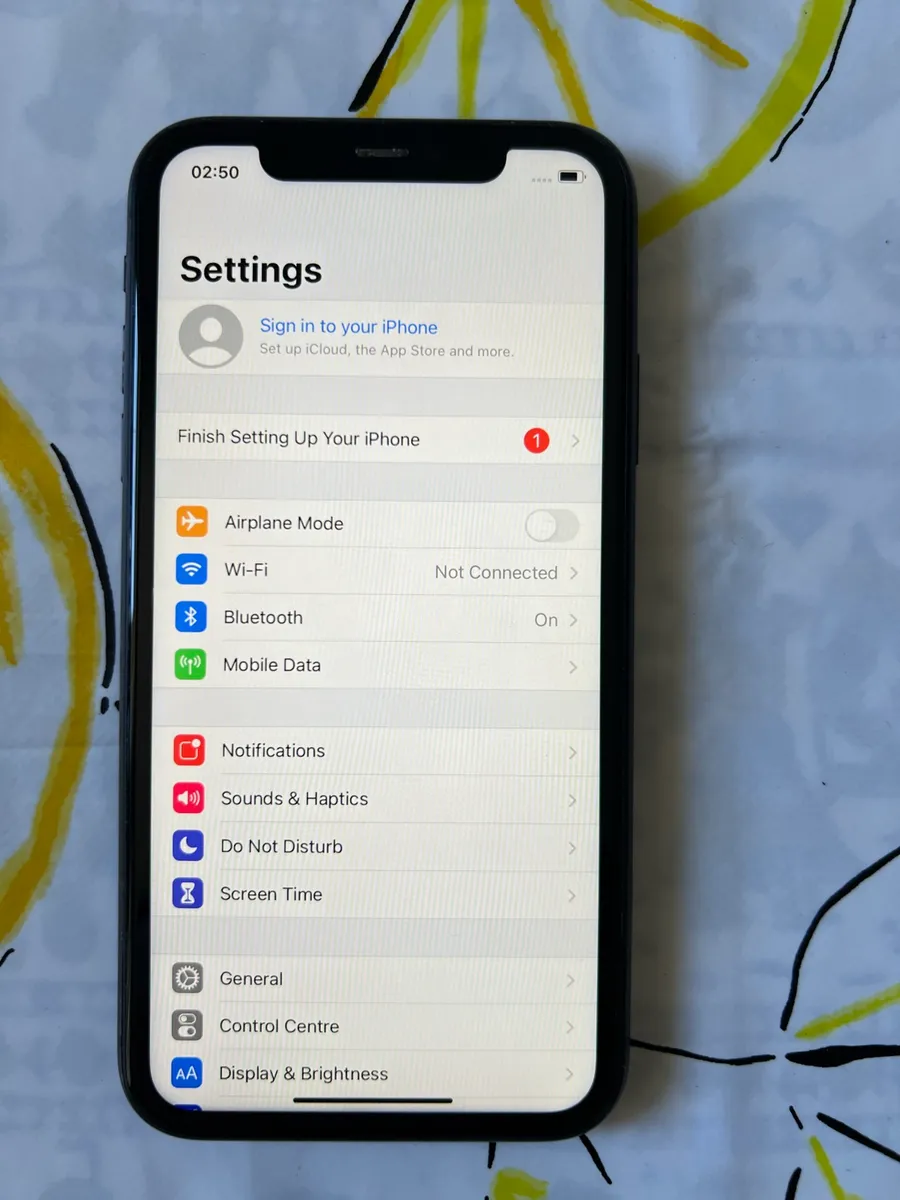 iPhone 11 normal 3