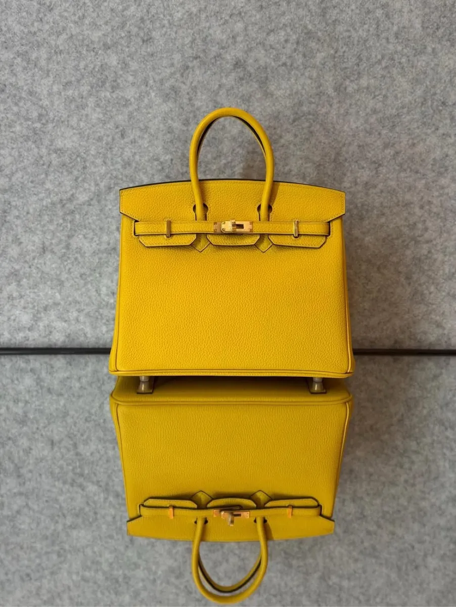 Hermès Birkin Bag 5