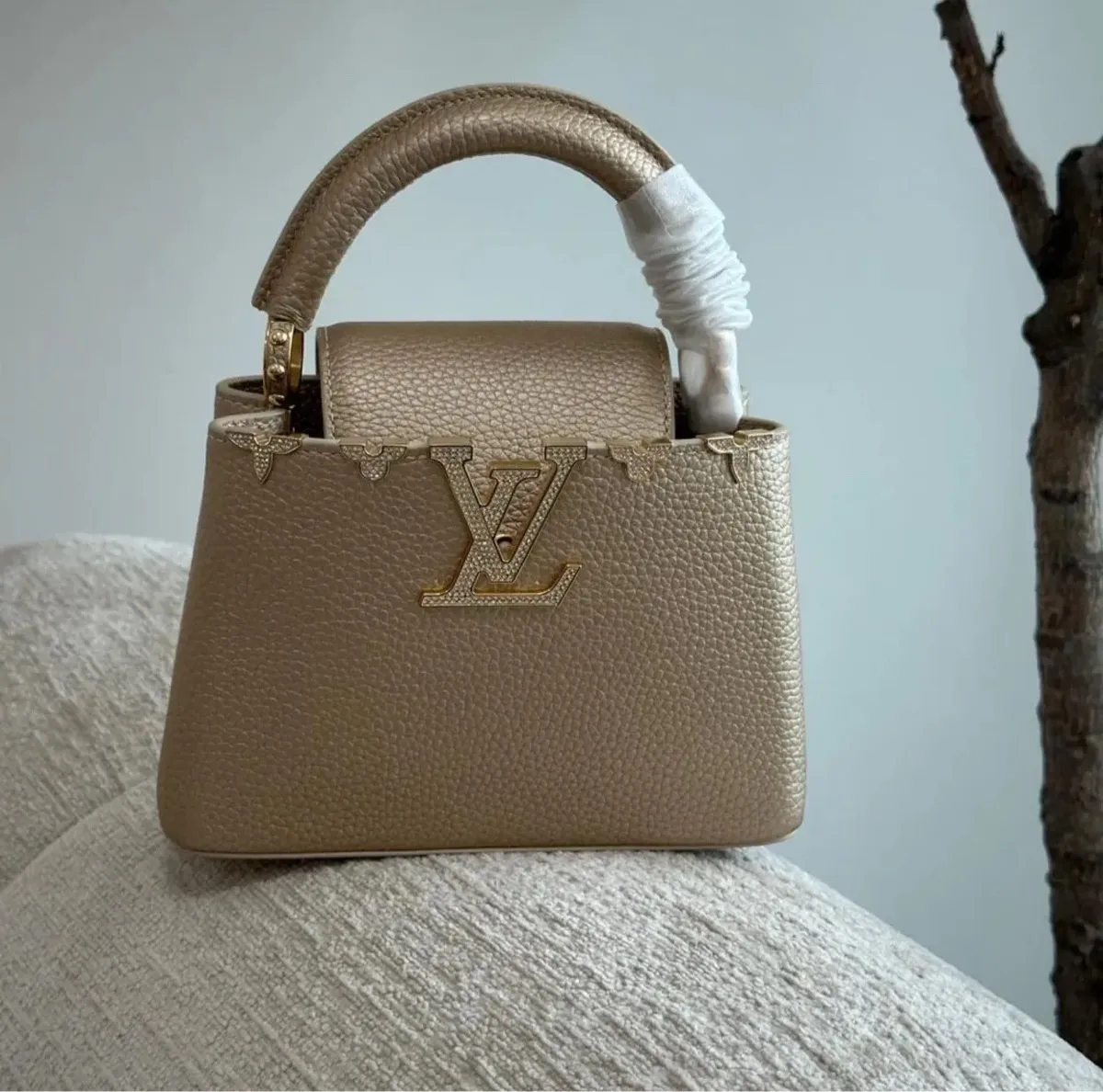 Louis Vuitton Handbag 3