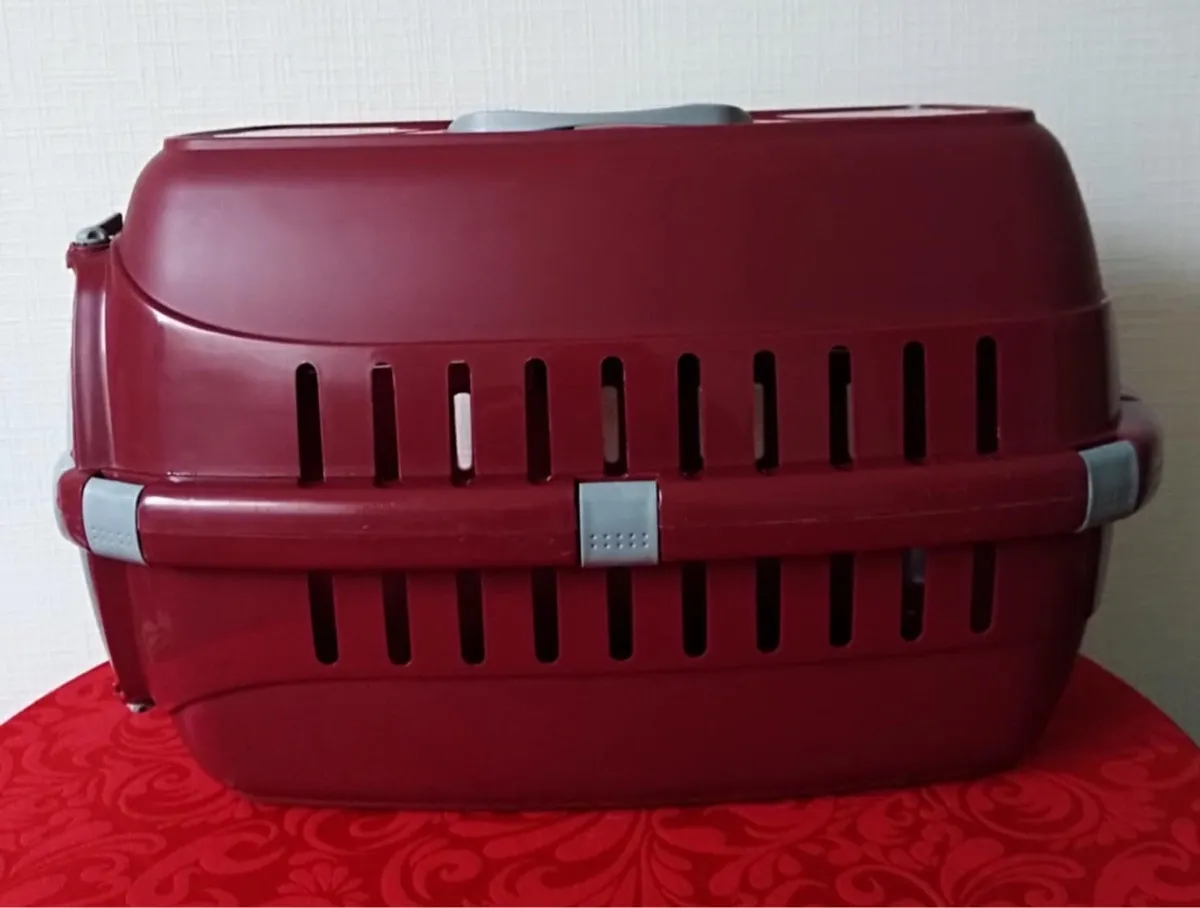 Caisse de transport pour chats 5